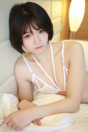 九重紫在线