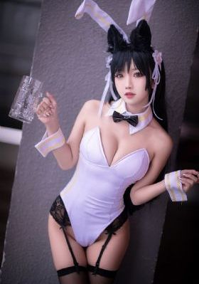红猫蓝兔
